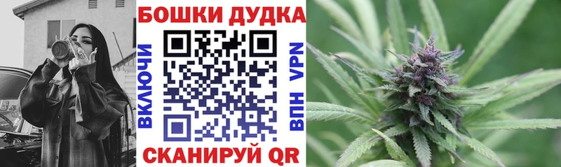 Бошки Шишки VHQ  Плёс 